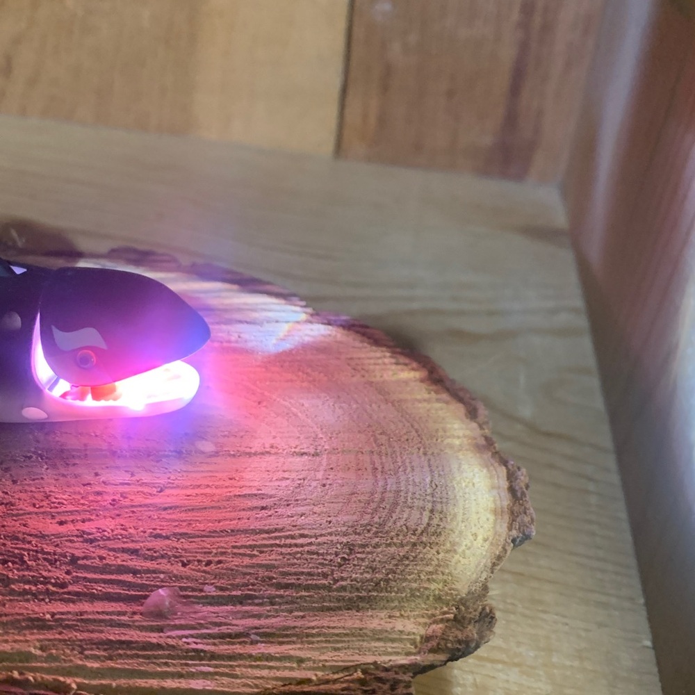 Black Whale Keychain Light NWT - Picture 5 of 5